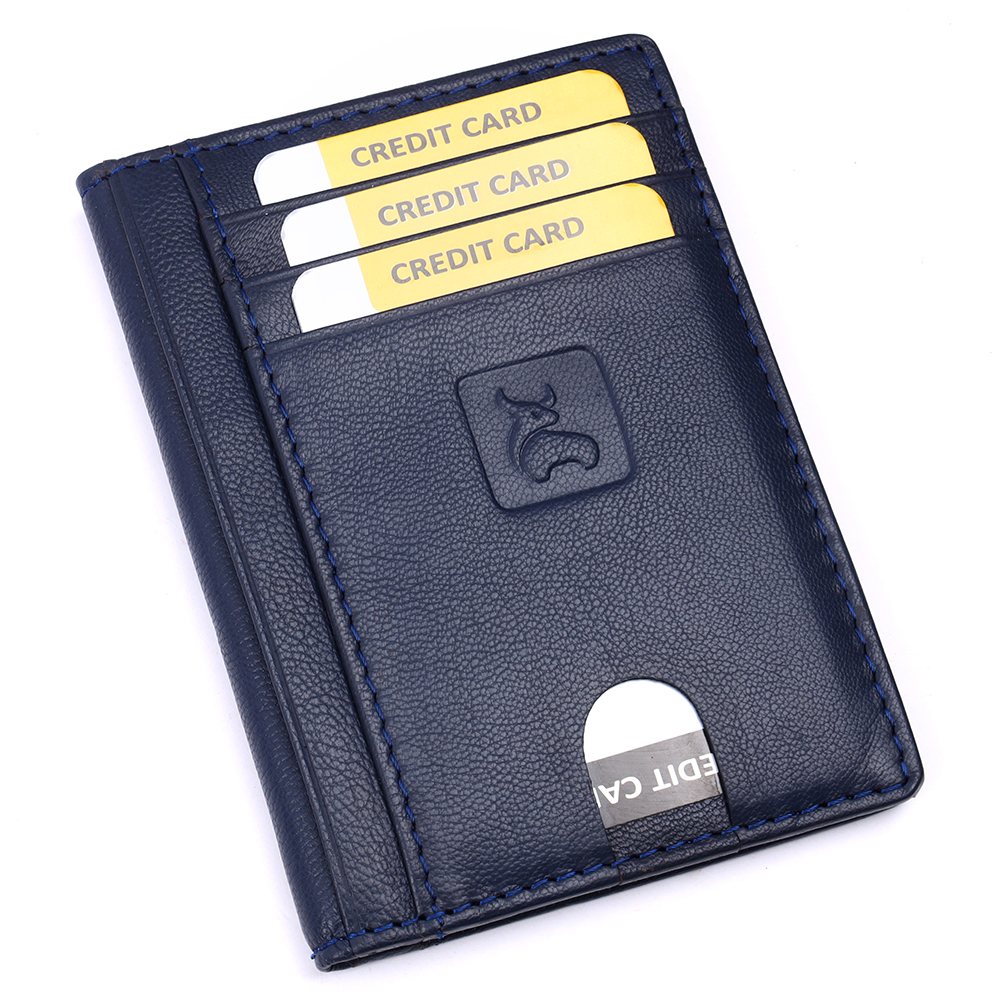 CH 300 Blue — photo 2