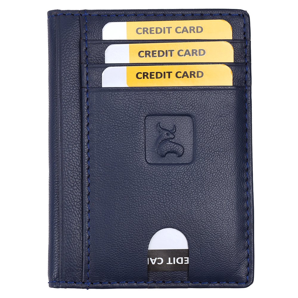 CH 300 Blue — photo 3
